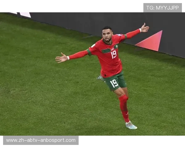 法甲新赛季里尔转会球员一览